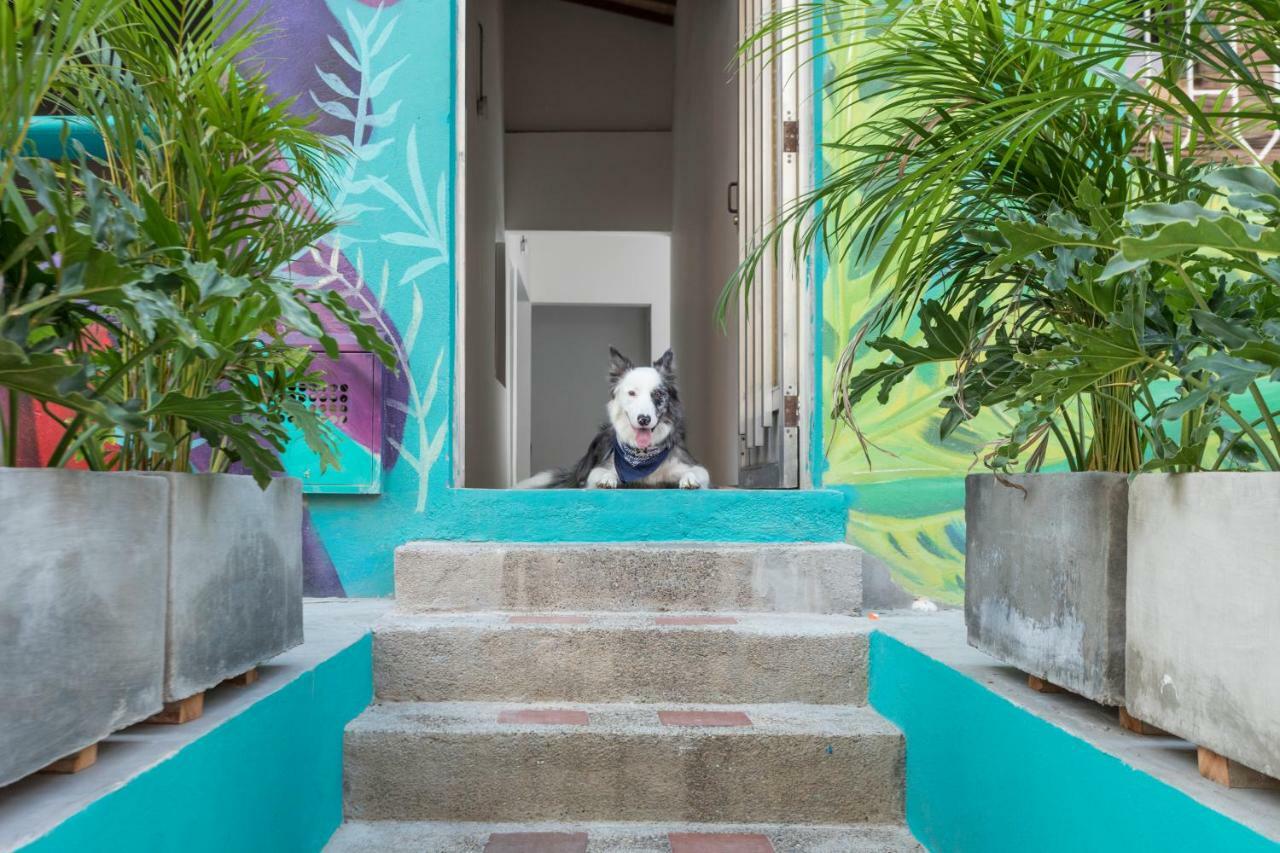 Gaston Coliving Hostel Medellin Bagian luar foto